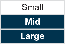 Market Capitalization: Mid